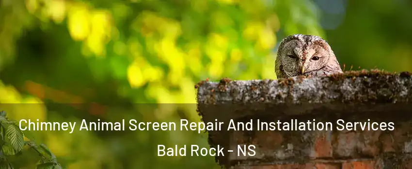  Chimney Animal Screen Repair And Installation Services Bald Rock - NS