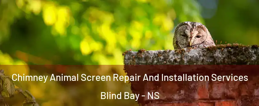  Chimney Animal Screen Repair And Installation Services Blind Bay - NS