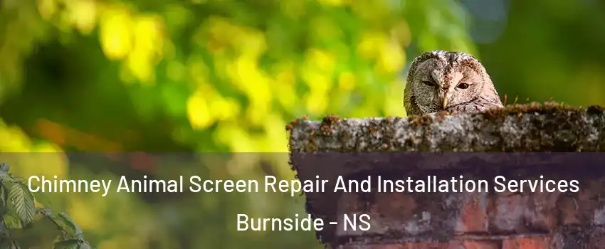  Chimney Animal Screen Repair And Installation Services Burnside - NS