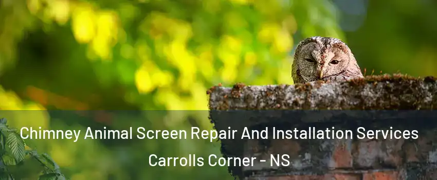  Chimney Animal Screen Repair And Installation Services Carrolls Corner - NS