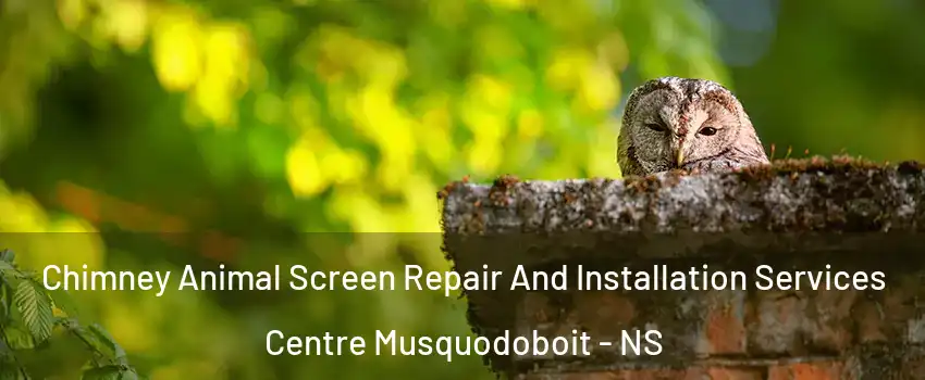  Chimney Animal Screen Repair And Installation Services Centre Musquodoboit - NS