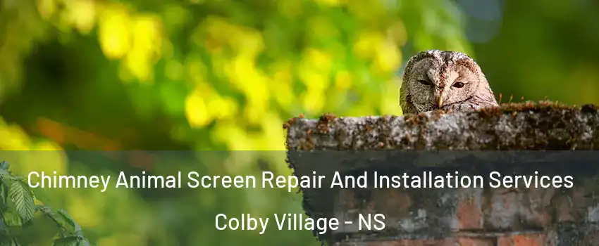  Chimney Animal Screen Repair And Installation Services Colby Village - NS