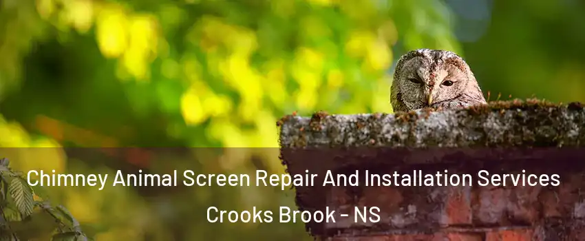  Chimney Animal Screen Repair And Installation Services Crooks Brook - NS