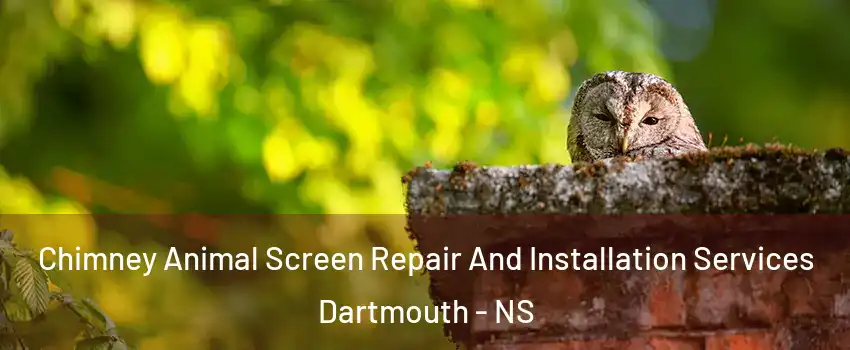  Chimney Animal Screen Repair And Installation Services Dartmouth - NS