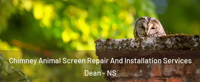  Chimney Animal Screen Repair And Installation Services Dean - NS