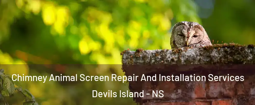  Chimney Animal Screen Repair And Installation Services Devils Island - NS