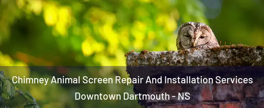  Chimney Animal Screen Repair And Installation Services Downtown Dartmouth - NS