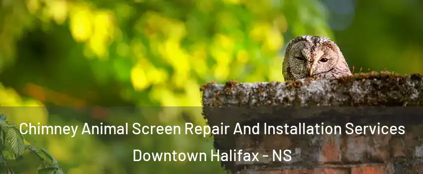  Chimney Animal Screen Repair And Installation Services Downtown Halifax - NS
