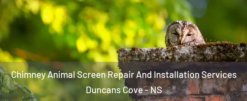  Chimney Animal Screen Repair And Installation Services Duncans Cove - NS