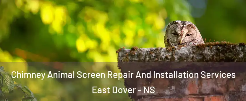  Chimney Animal Screen Repair And Installation Services East Dover - NS