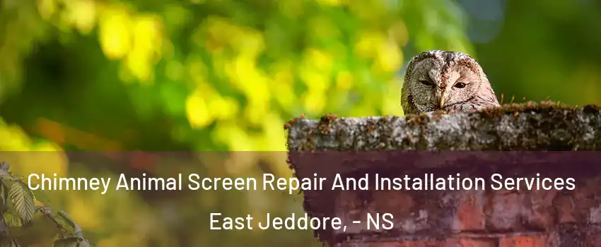  Chimney Animal Screen Repair And Installation Services East Jeddore, - NS