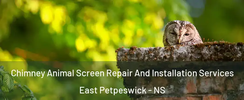  Chimney Animal Screen Repair And Installation Services East Petpeswick - NS