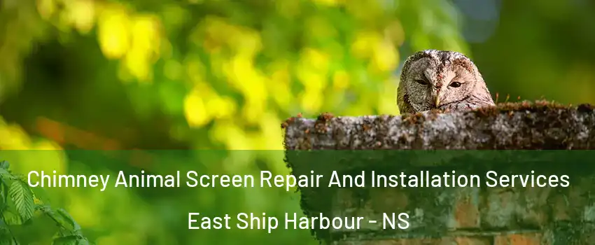  Chimney Animal Screen Repair And Installation Services East Ship Harbour - NS