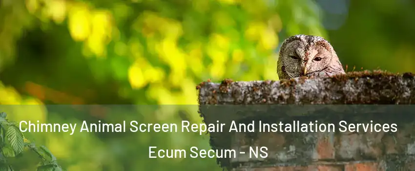  Chimney Animal Screen Repair And Installation Services Ecum Secum - NS
