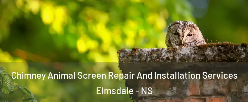  Chimney Animal Screen Repair And Installation Services Elmsdale - NS