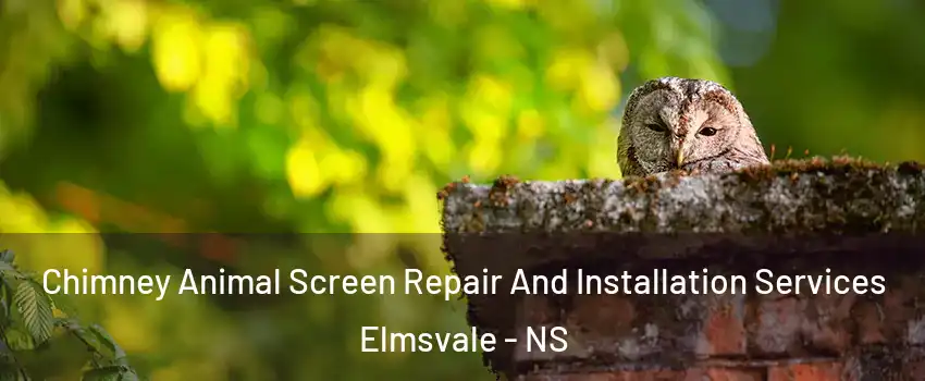  Chimney Animal Screen Repair And Installation Services Elmsvale - NS