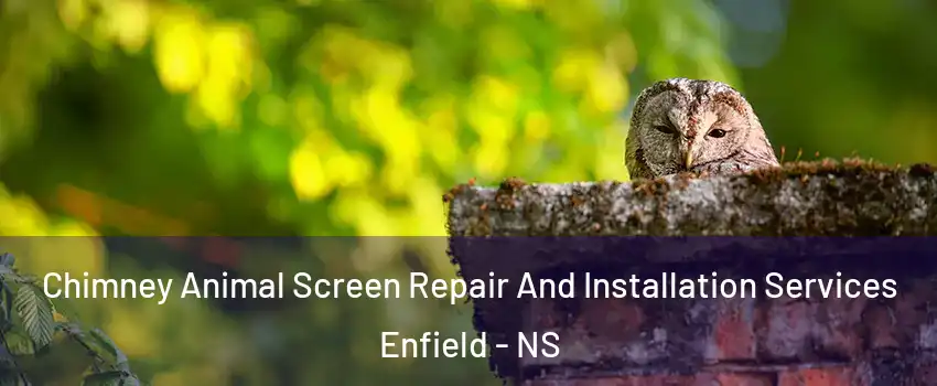  Chimney Animal Screen Repair And Installation Services Enfield - NS