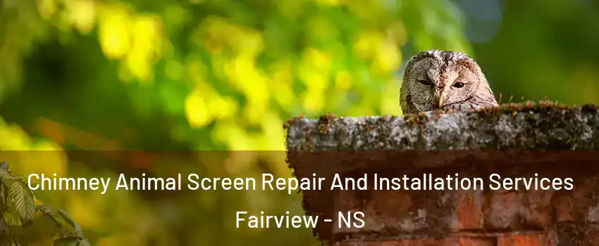  Chimney Animal Screen Repair And Installation Services Fairview - NS