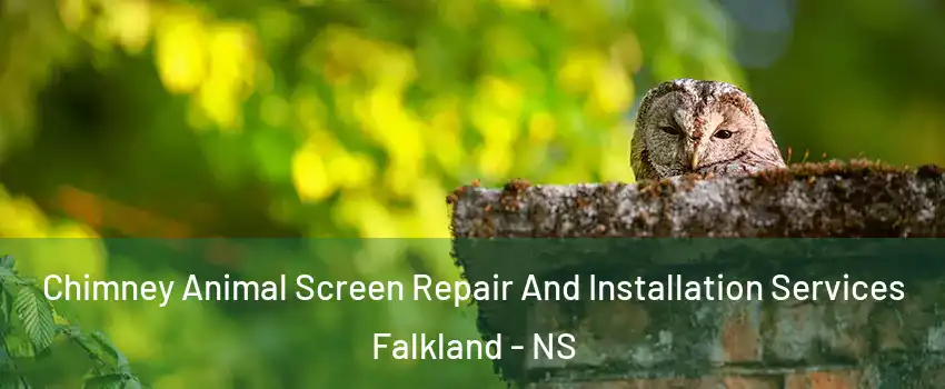  Chimney Animal Screen Repair And Installation Services Falkland - NS