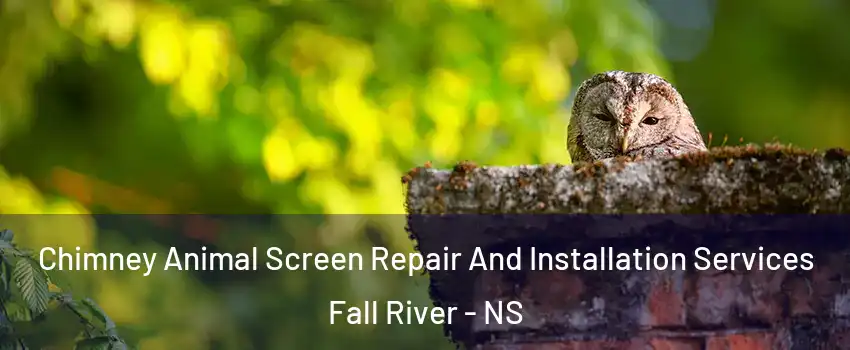  Chimney Animal Screen Repair And Installation Services Fall River - NS