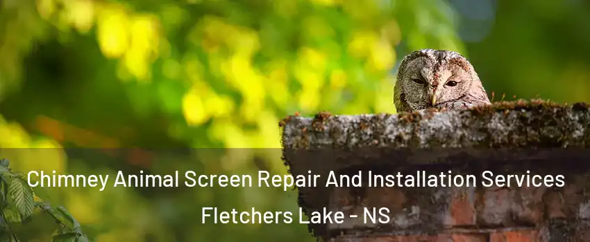  Chimney Animal Screen Repair And Installation Services Fletchers Lake - NS