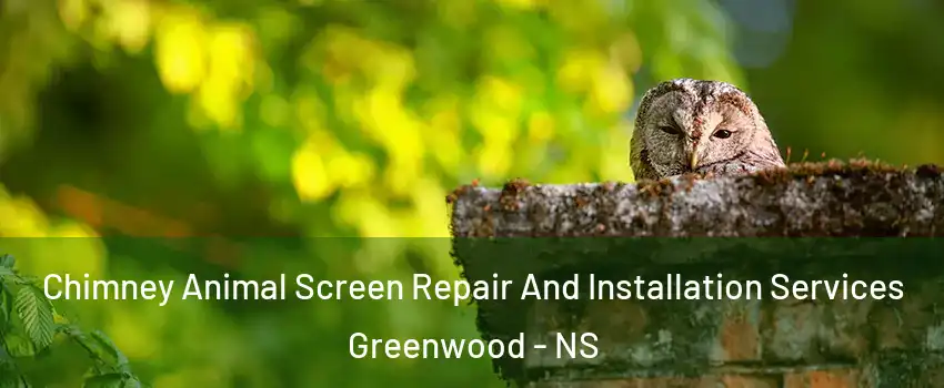  Chimney Animal Screen Repair And Installation Services Greenwood - NS