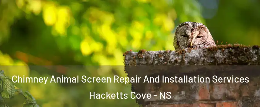  Chimney Animal Screen Repair And Installation Services Hacketts Cove - NS