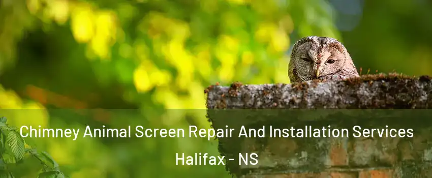  Chimney Animal Screen Repair And Installation Services Halifax - NS