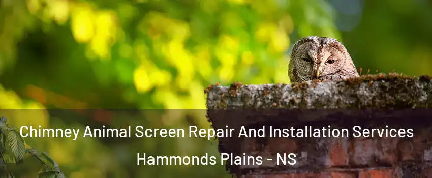  Chimney Animal Screen Repair And Installation Services Hammonds Plains - NS