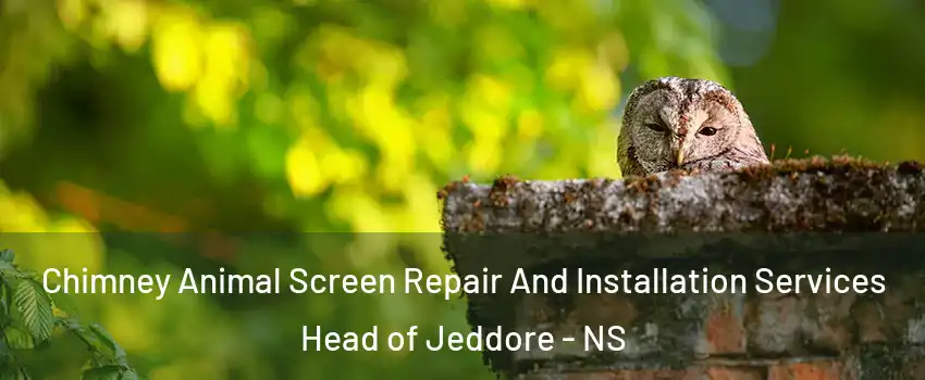  Chimney Animal Screen Repair And Installation Services Head of Jeddore - NS
