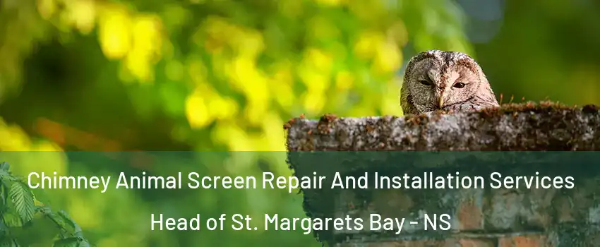  Chimney Animal Screen Repair And Installation Services Head of St. Margarets Bay - NS