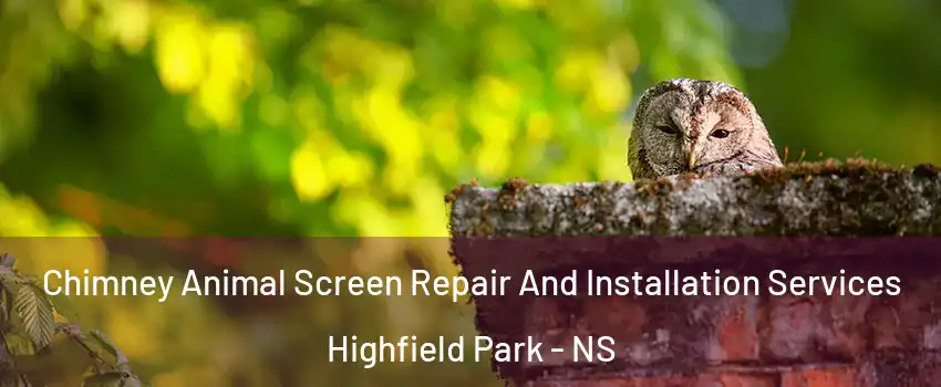  Chimney Animal Screen Repair And Installation Services Highfield Park - NS