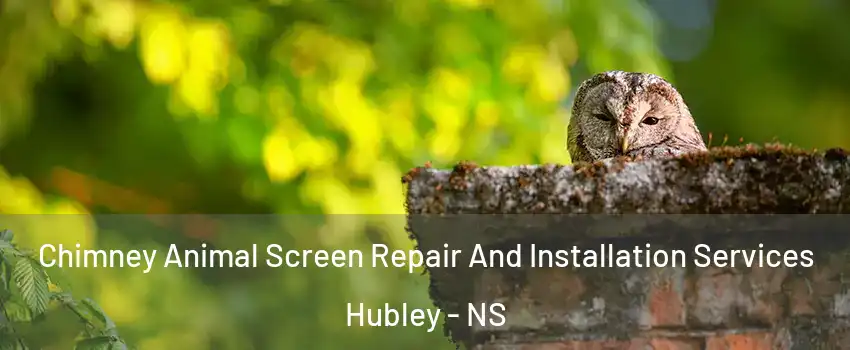  Chimney Animal Screen Repair And Installation Services Hubley - NS
