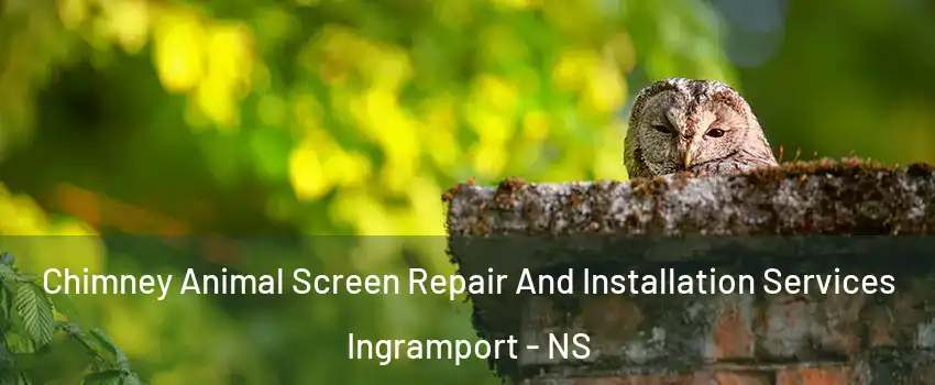  Chimney Animal Screen Repair And Installation Services Ingramport - NS
