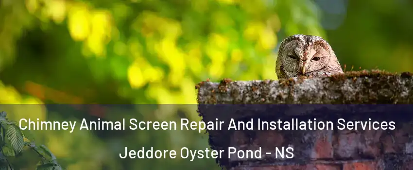  Chimney Animal Screen Repair And Installation Services Jeddore Oyster Pond - NS
