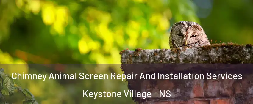  Chimney Animal Screen Repair And Installation Services Keystone Village - NS