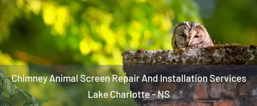  Chimney Animal Screen Repair And Installation Services Lake Charlotte - NS