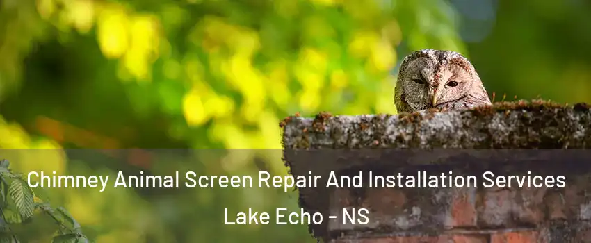  Chimney Animal Screen Repair And Installation Services Lake Echo - NS