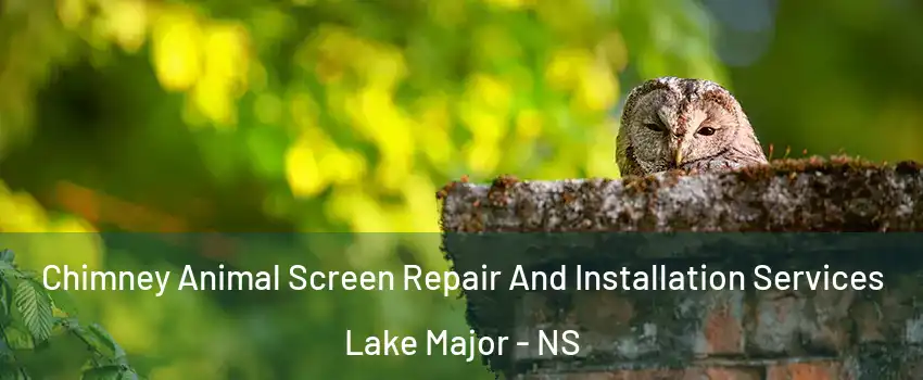  Chimney Animal Screen Repair And Installation Services Lake Major - NS