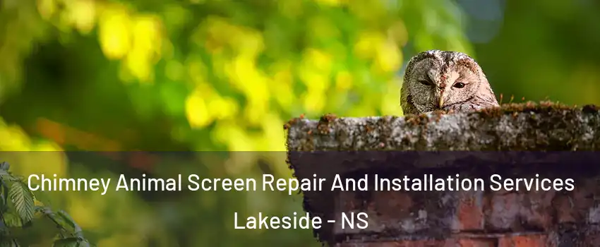  Chimney Animal Screen Repair And Installation Services Lakeside - NS