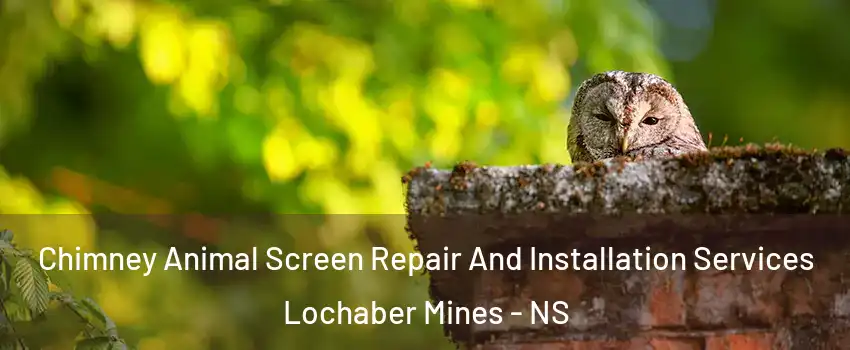  Chimney Animal Screen Repair And Installation Services Lochaber Mines - NS