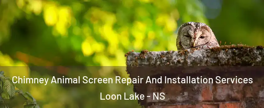  Chimney Animal Screen Repair And Installation Services Loon Lake - NS