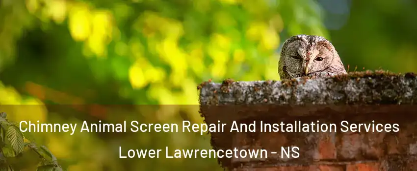  Chimney Animal Screen Repair And Installation Services Lower Lawrencetown - NS