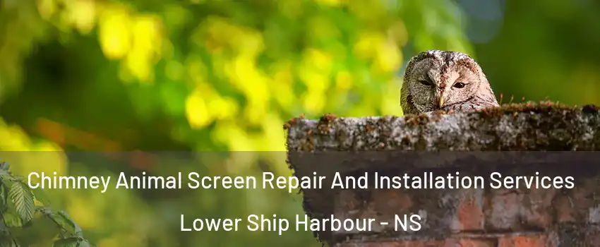  Chimney Animal Screen Repair And Installation Services Lower Ship Harbour - NS
