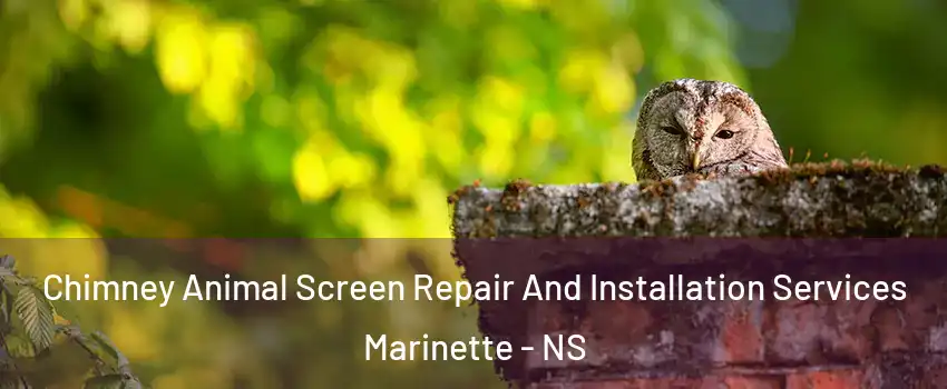  Chimney Animal Screen Repair And Installation Services Marinette - NS