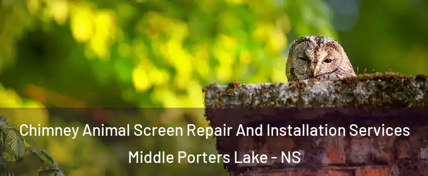  Chimney Animal Screen Repair And Installation Services Middle Porters Lake - NS