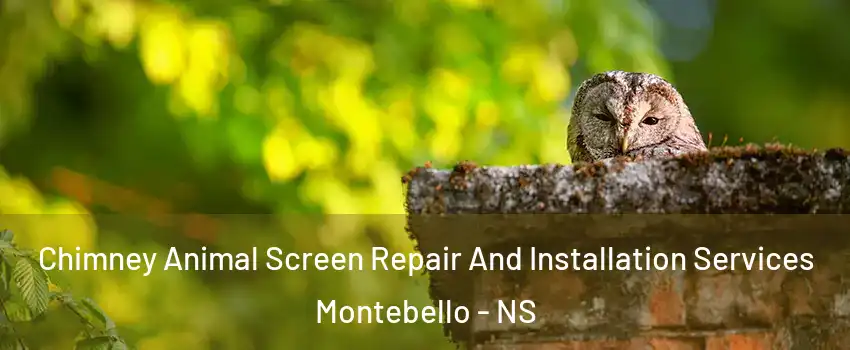  Chimney Animal Screen Repair And Installation Services Montebello - NS