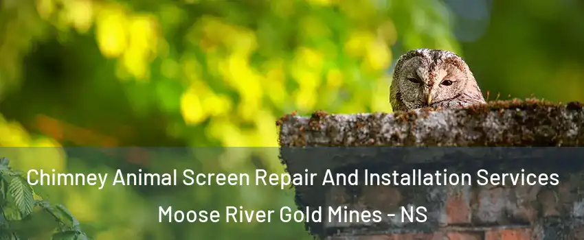  Chimney Animal Screen Repair And Installation Services Moose River Gold Mines - NS