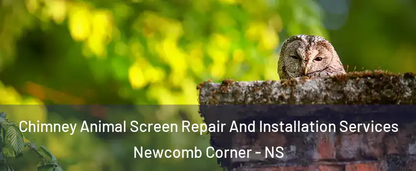  Chimney Animal Screen Repair And Installation Services Newcomb Corner - NS