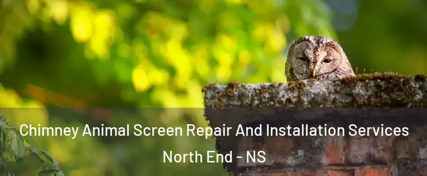  Chimney Animal Screen Repair And Installation Services North End - NS